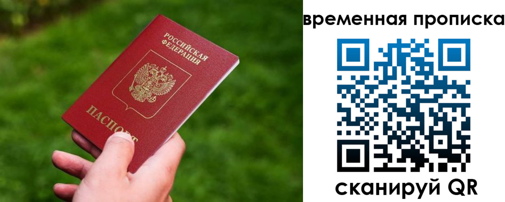 прописка ребенка в Талдоме